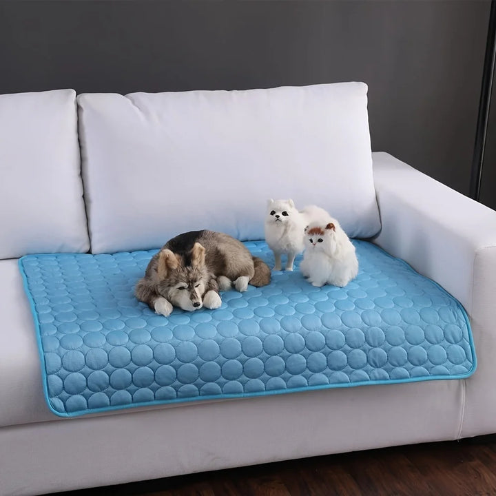 Blue cooling dog mat 