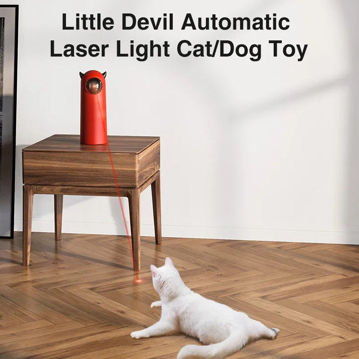 Cat playing with Automatic Cat laser toy