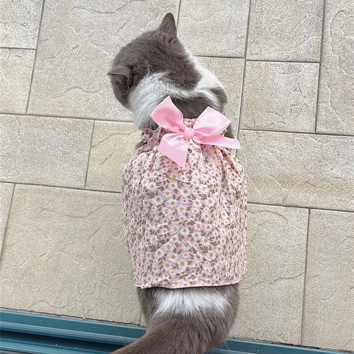 Cat wearing a pink floral dress with a bow 