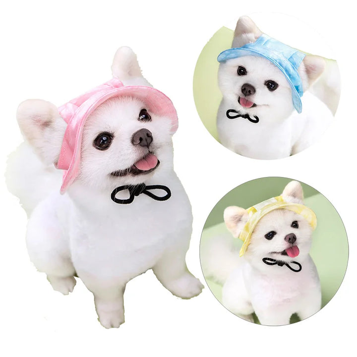 Three small white dogs wearing colorful summer dog hats