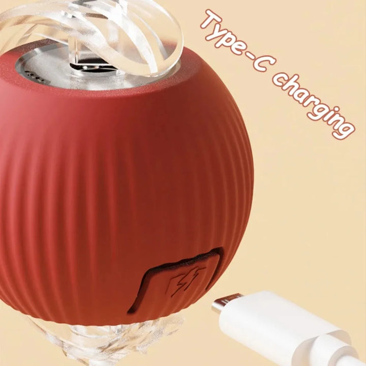 Interactive cat ball toy with Type-C charging cable  
