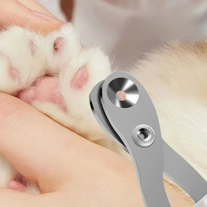 Pet nail clipper being used on a cat paw