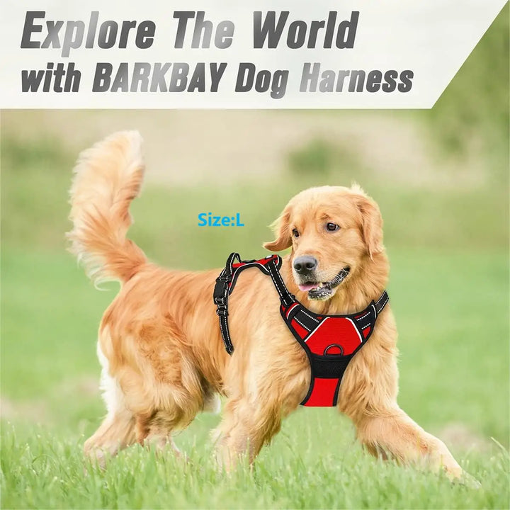 Dog wearing a red no pull dog harness.