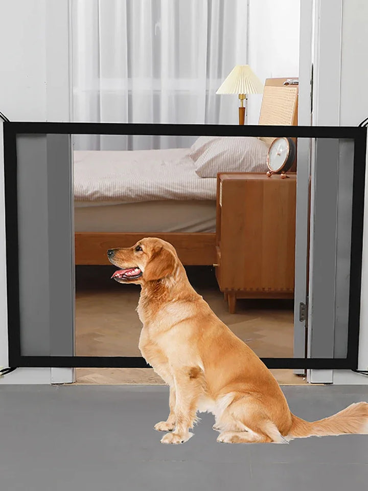 Dog standing inside a room with a Dog Barrier Fence