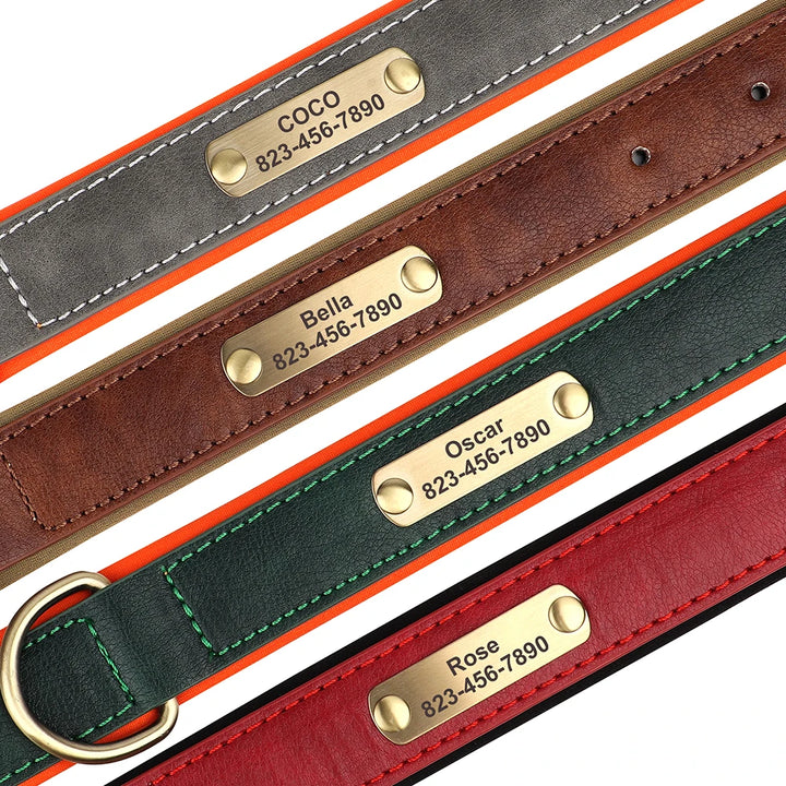 Four leather dog collars with nameplates in different colors on a white background