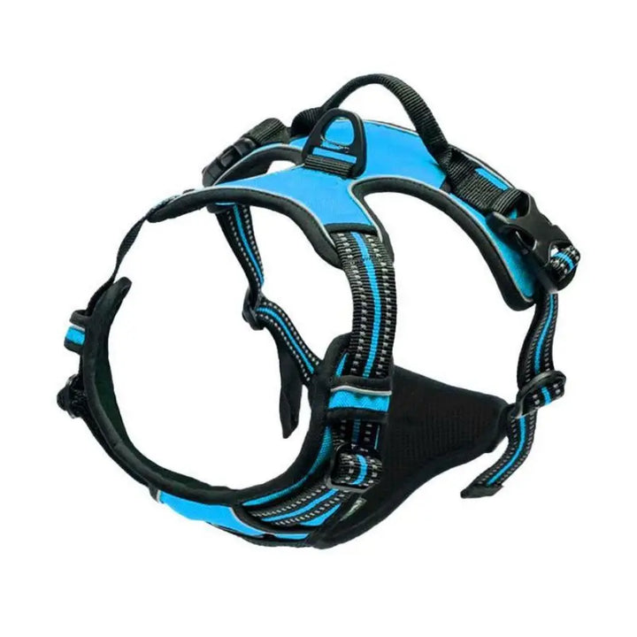 Blue no pull dog harness