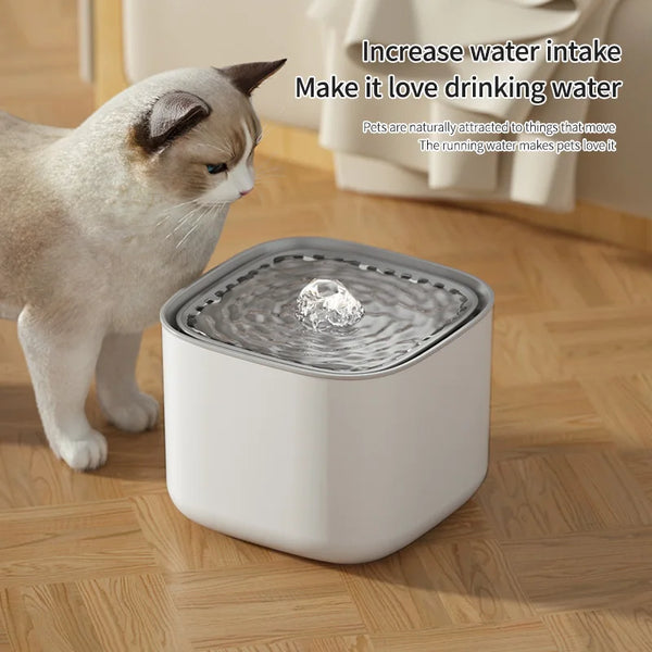 Cat drinking water from a Cat Water Fountain