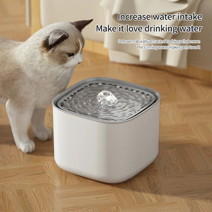 Cat drinking water from a Cat Water Fountain