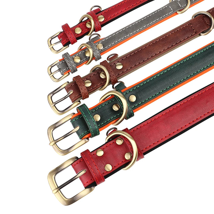 Set of leather dog collars in various colors with brass buckles on a white background
