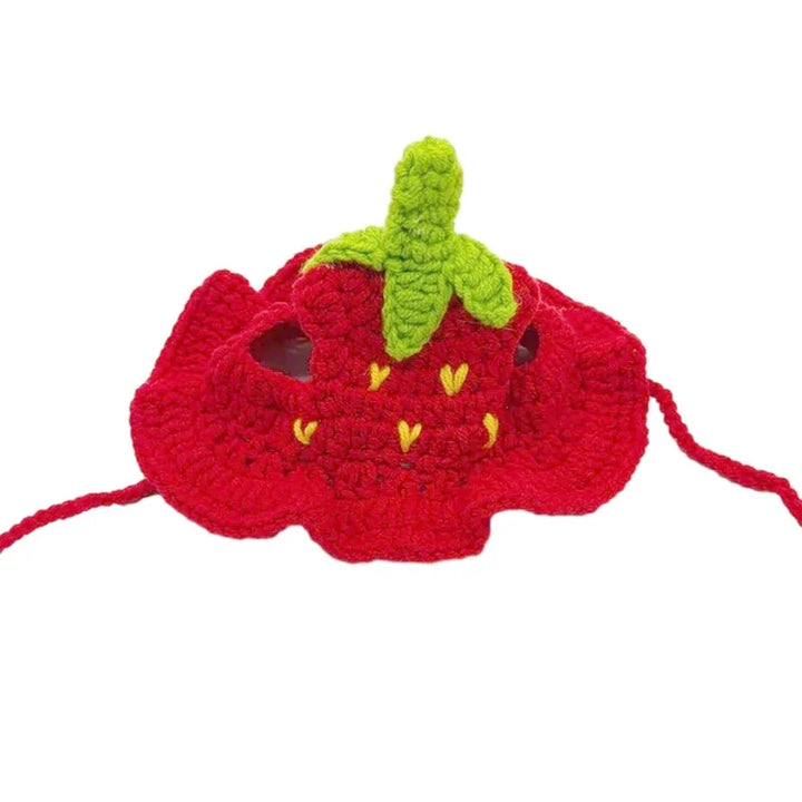 Crocheted strawberry pet hat with green stem on a white background