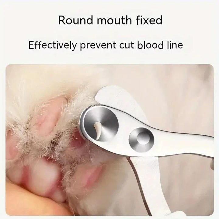 Dog nail cutter being used on a dog's paw 