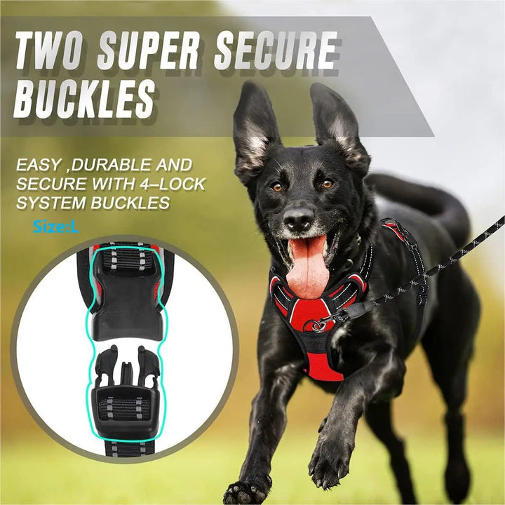 Dog wearing the no pull dog harness with four lock durable buckles.