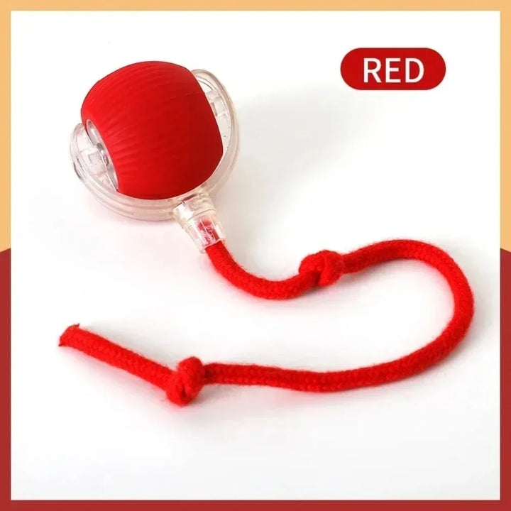Red Interactive Cat Ball Toy
