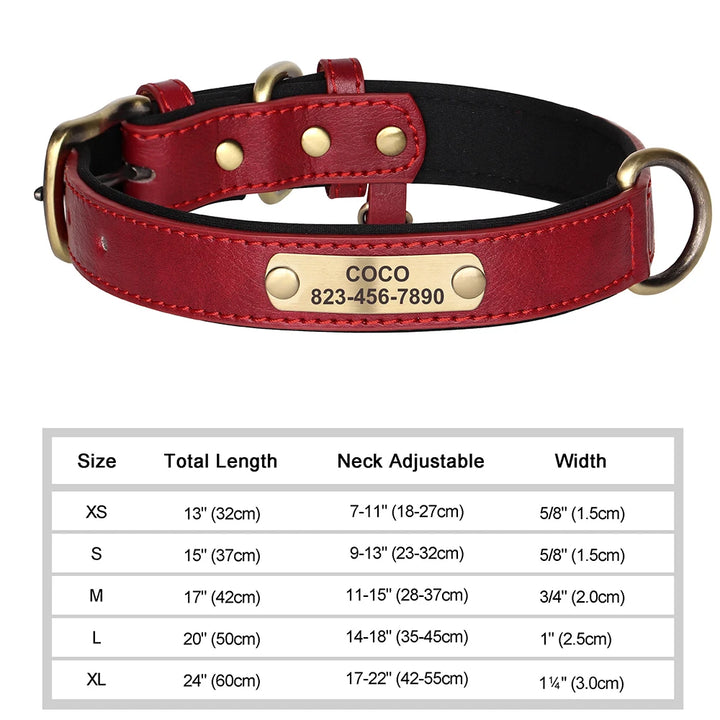 Red leather dog collar with brass buckle and nameplate on a white background, accompanied by size chart.
