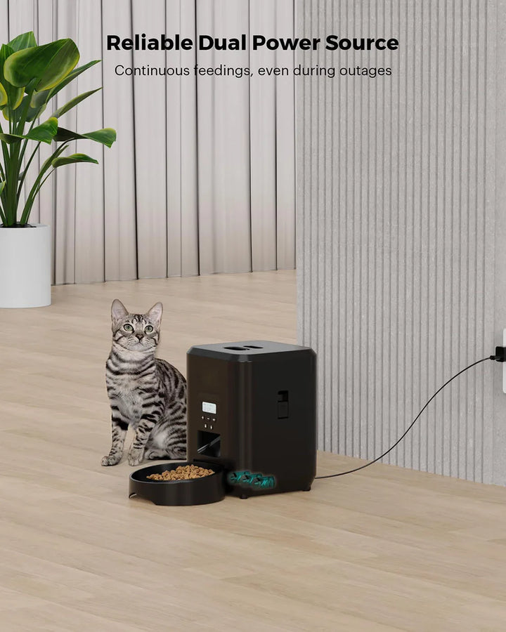 Black pet feeder on a wooden floor with a cat showing a reliable dual power source.