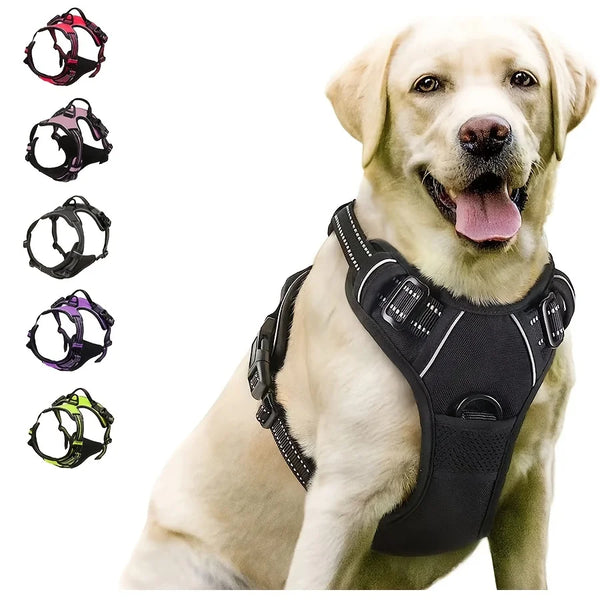 Dog wearing a black no pull dog harness.
