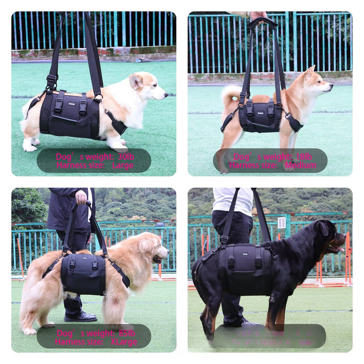  dog lifting harness on multiple different breeds of dogs