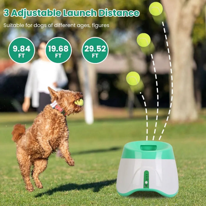 Dog playing with the automatic dog ball launcher with three adjustable launch distance.