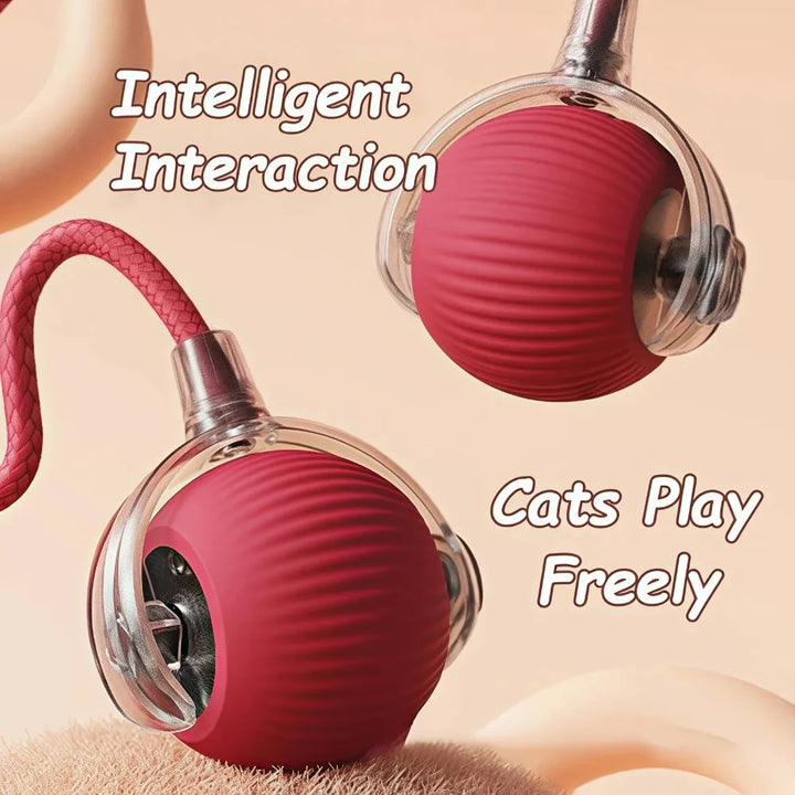 Interactive cat ball toy with faux tail showcasing intelligence