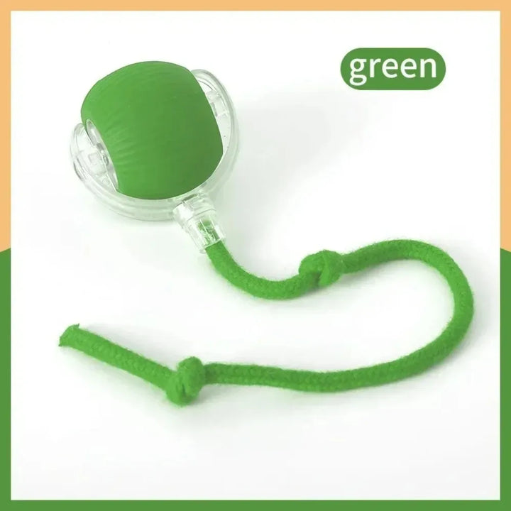 Green Interactive Cat Ball Toy