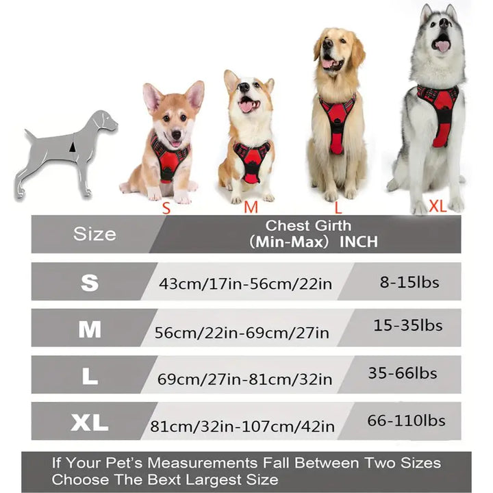 Dog harness size chart with dogs of different sizes wearing the no pull dog harness.