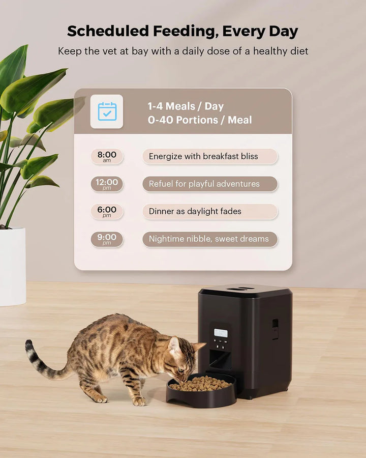 Cat eating from an automatic pet feeder with a scheduled feeding chart.
