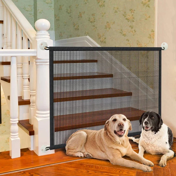 Two dogs sitting in front of a pet gate in a home setting.