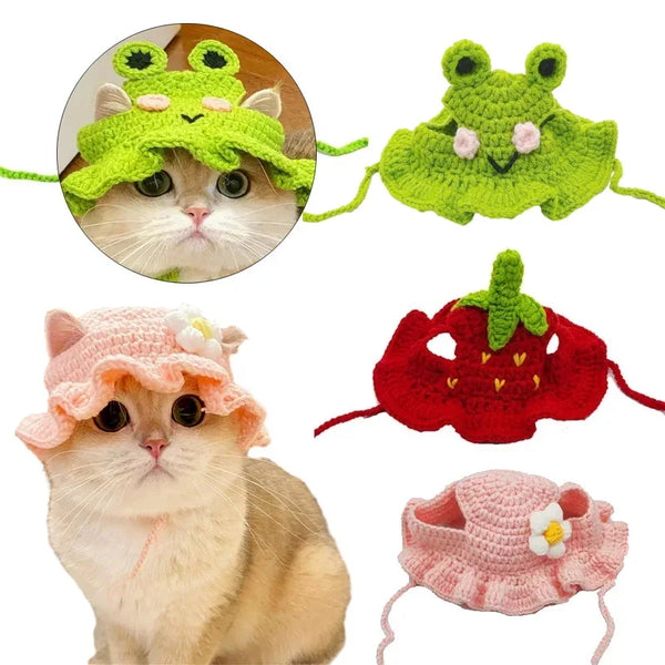 cat wearing Crochet Pet Hats