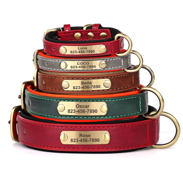 Stack of colorful leather dog collars with engraved names and phone numbers on a white background