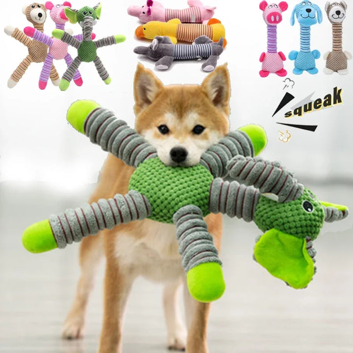 Dog holding a green indestructible squeaky dog-chew toy with others in the backgrounds