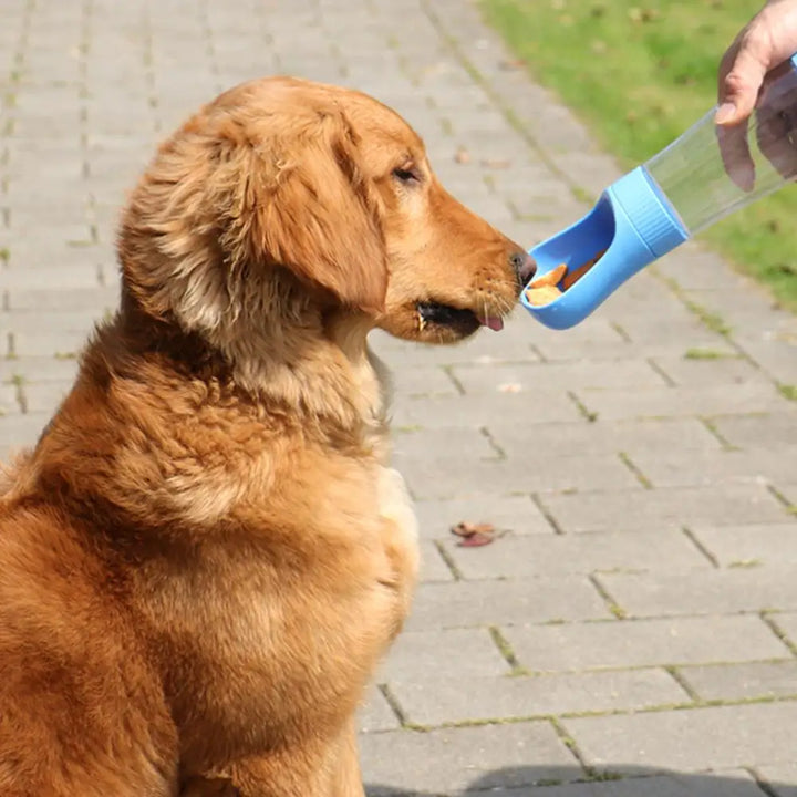 Dog drinking and eating from a blue  Portable Dog Water and food  Bottle