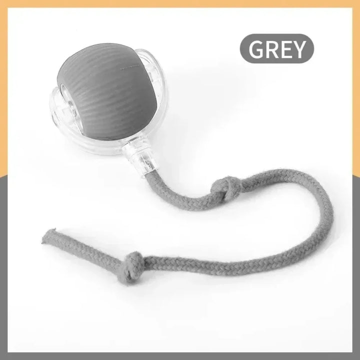 Grey Interactive Cat Ball Toy