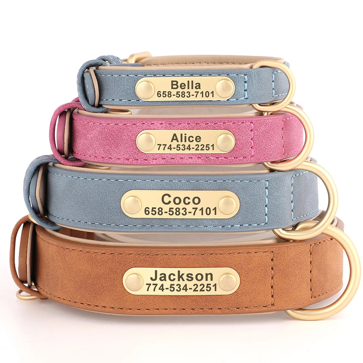 Stack of dog collars with engraved names and phone numbers on a white background