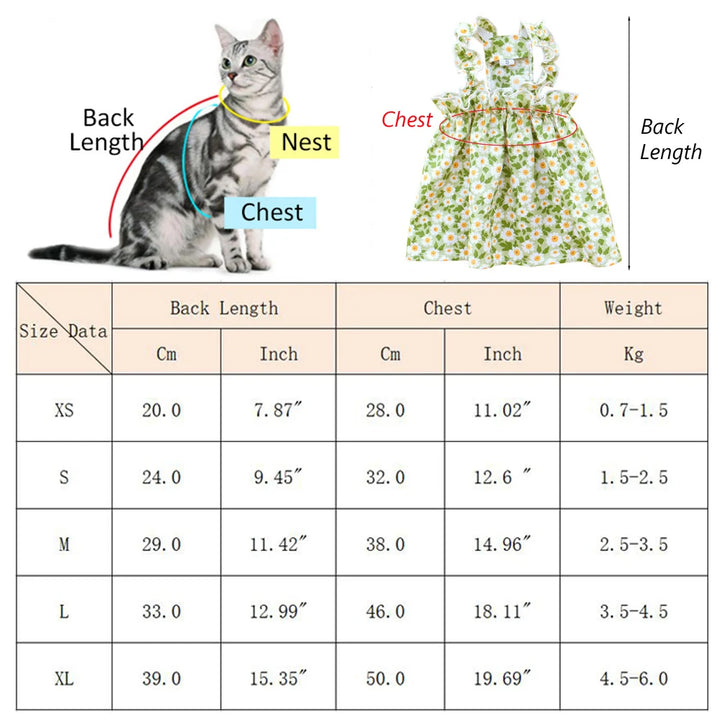 Cat dress measurements