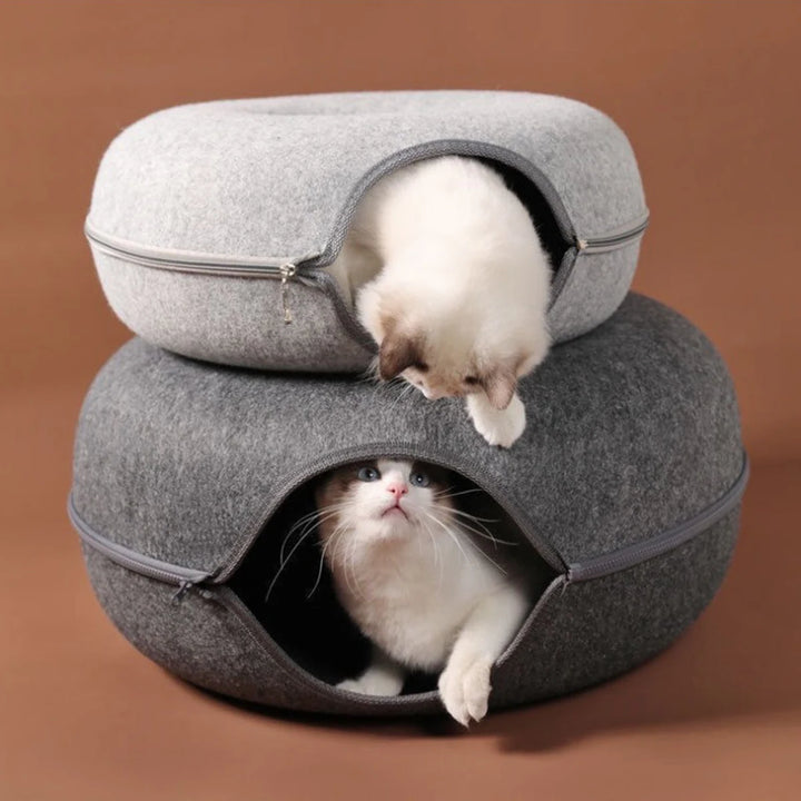 Two cats inside a cat donut bed