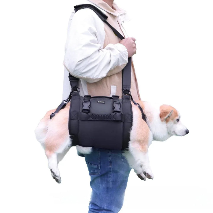 Person carrying a dog using dog lifting harness