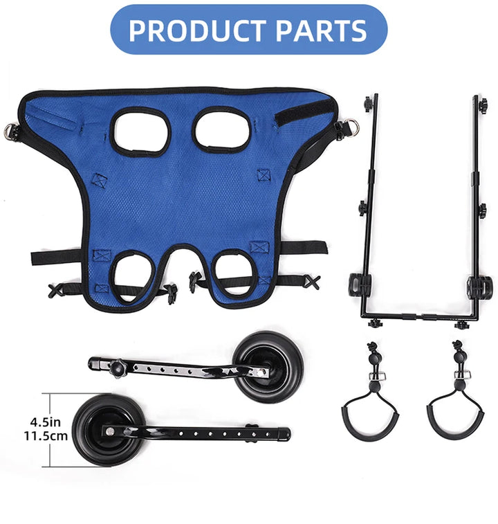 Blue dog wheelchair disassembled parts