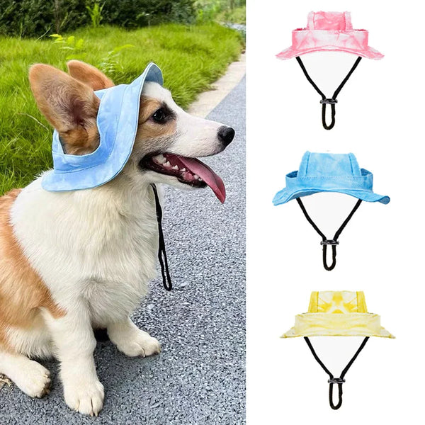 Dog wearing a blue pet sun hat with additional hats  