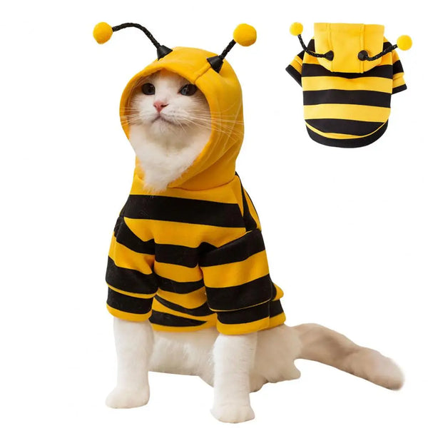 Cat wearing a bee costume with a matching bee-shaped pouch on a white background