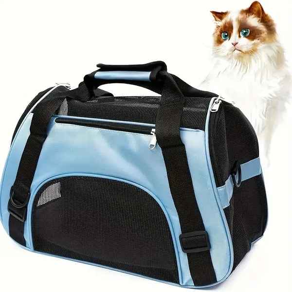Pet carrier with a cat in the background