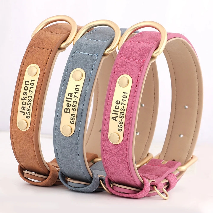 Three leather dog collars in brown, blue, and pink with gold nameplates on a white background.