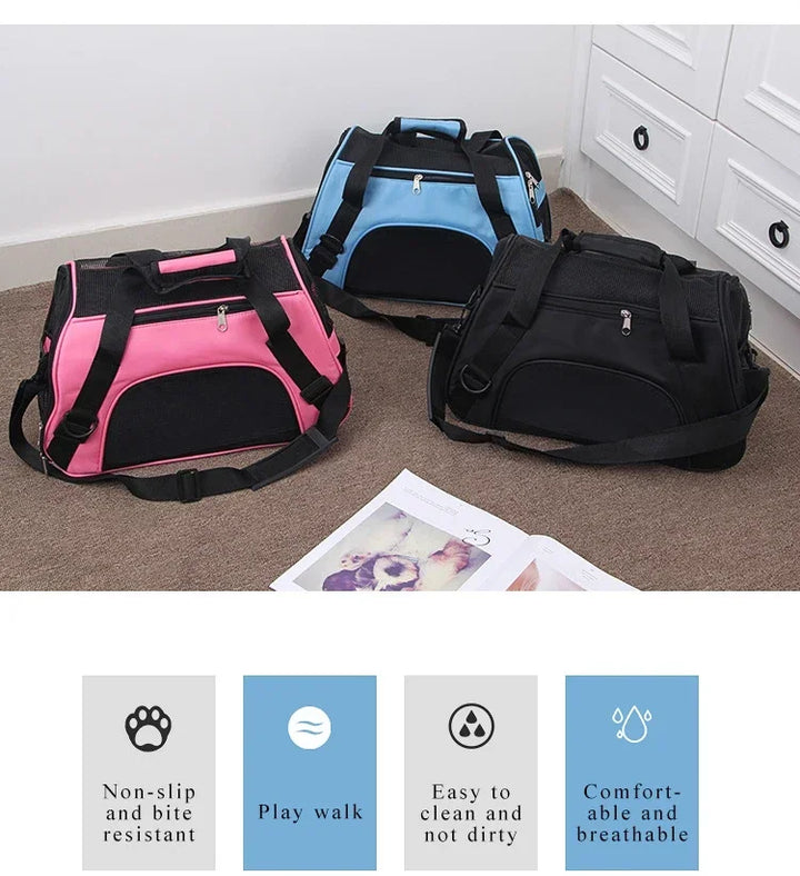 Three pet carriers in black, pink, and blue on a carpeted floor 