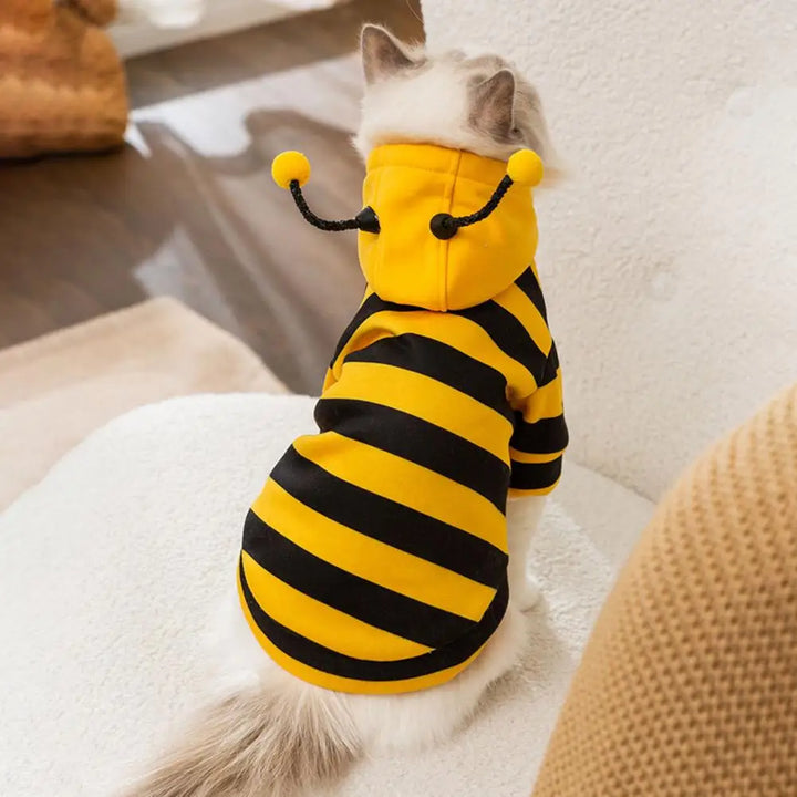 Cat wearing a bee-themed costume with yellow and black stripes 