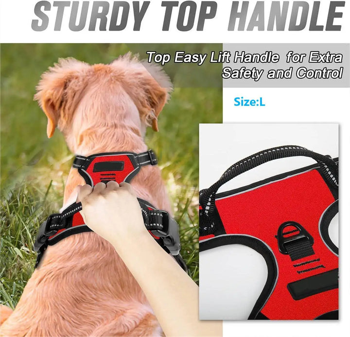 Dog wearing a red no pull dog harness with a hand lifting it easily.