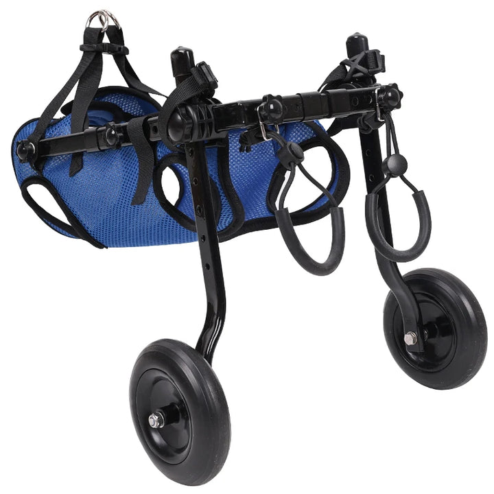 Blue dog wheelchair