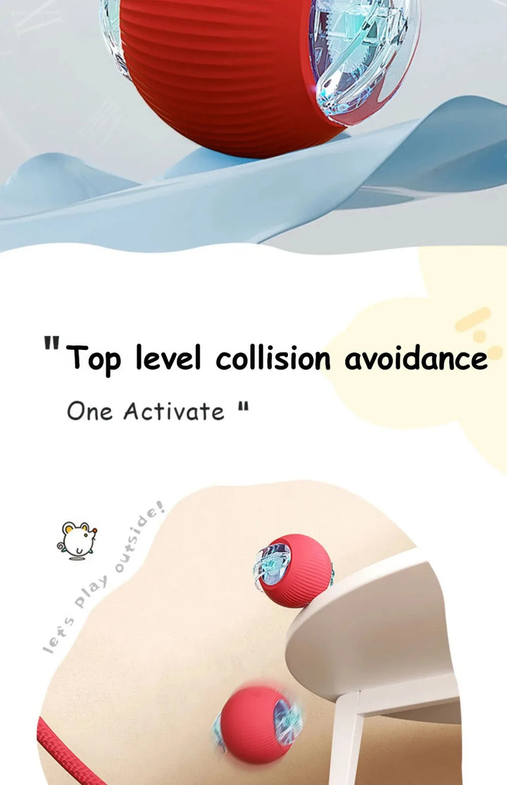 Cat boy tall with top level collision avoidance