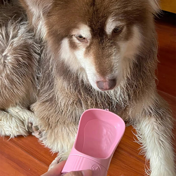 Dog drinking from Portable Dog Water Bottle