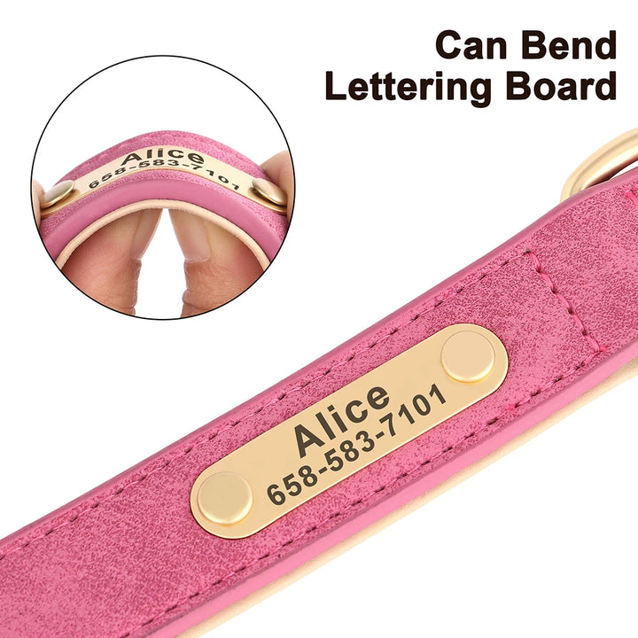 Pink leather dog collar with gold nameplate close-up inset showing flexibility.