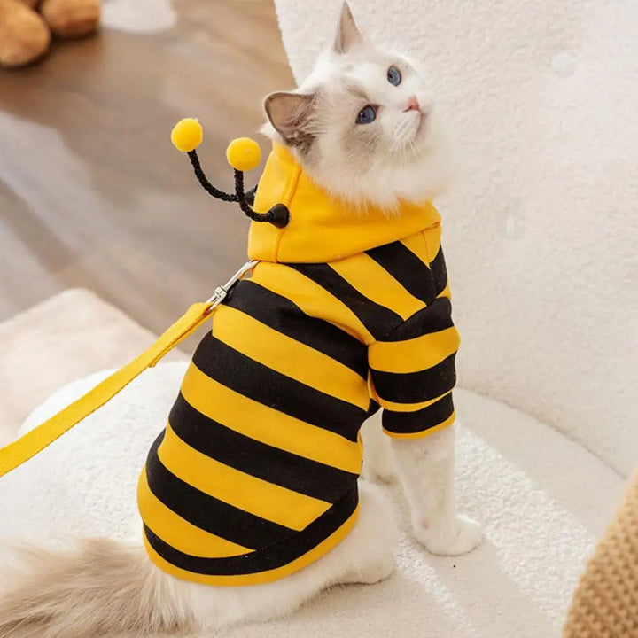 Cat wearing a bee-themed outfit with yellow and black stripes, sitting and looking back