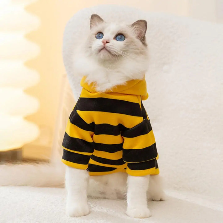 Cat wearing a yellow and black striped outfit 